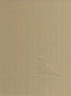 Johannes Groht - Insight Grindel