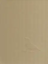 Johannes Groht - Insight Grindel