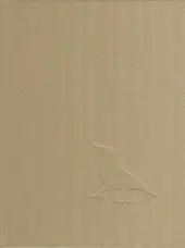 Johannes Groht - Insight Grindel