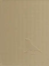 Johannes Groht - Insight Grindel