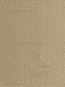 Cover of Johannes Groht - Insight Grindel