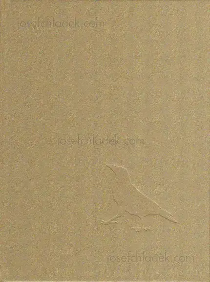 Cover of Johannes Groht - Insight Grindel