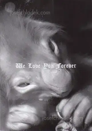 Cover of Chris Dooks - We Love You Forever