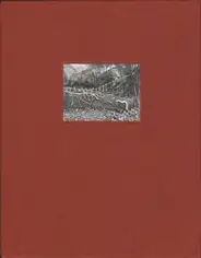 Regina Anzenberger - The Australian Journey