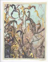 Regina Anzenberger - The Australian Journey - Book photo 10