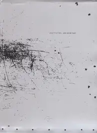 Julie van der Vaart - Particles