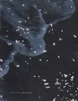 Julie van der Vaart - Particles - Book photo 1