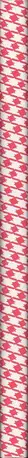 Book spine: Nikola Mihov - The Last Gift