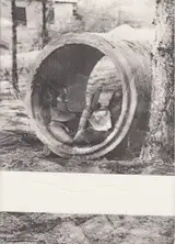 Eliška Klimešová - Women Readers