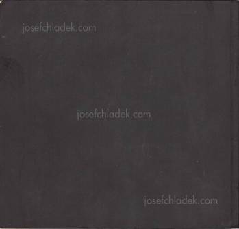 Wassili und Hans Luckhardt Zur neuen Wohnform