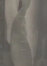 Elizabeth Alderliesten - Remember Who You Once Were