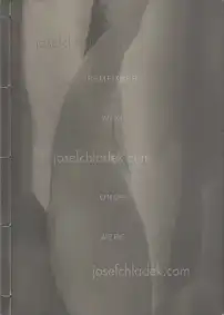 Cover of Elizabeth Alderliesten - Remember Who You Once Were