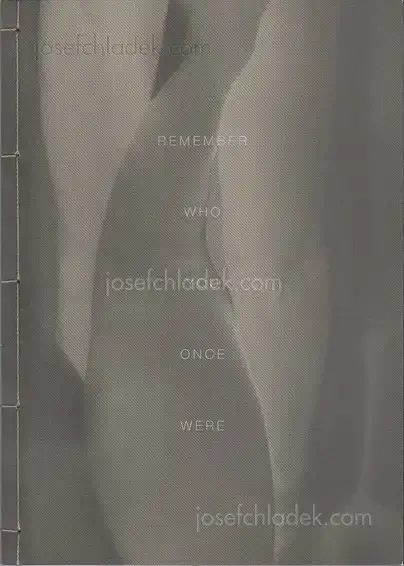 Cover of Elizabeth Alderliesten - Remember Who You Once Were