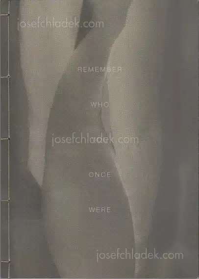 Cover of Elizabeth Alderliesten - Remember Who You Once Were