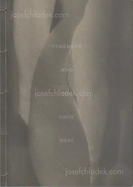Cover of Elizabeth Alderliesten - Remember Who You Once Were
