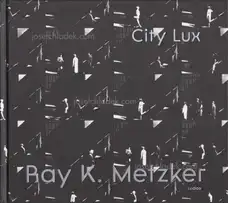 Ray K. Metzker  - City Lux