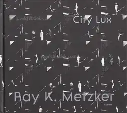 Ray K. Metzker  - City Lux