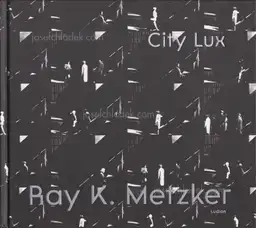 Ray K. Metzker  - City Lux