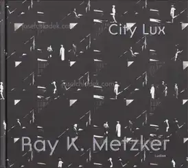 Ray K. Metzker  - City Lux