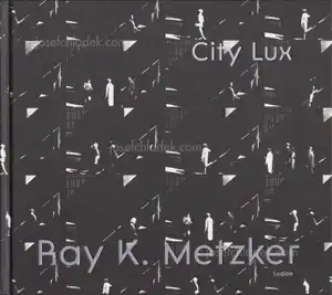 Cover of Ray K. Metzker  - City Lux