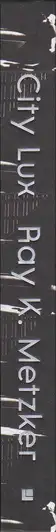 Book spine: Ray K. Metzker  - City Lux