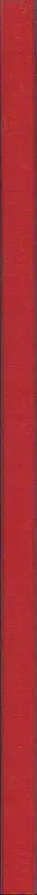 Book spine: Michael Rathmayr - Remedy
