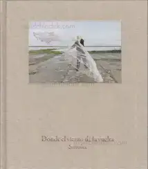 Pedro J. Saavedra - Donde el viento da la vuelta