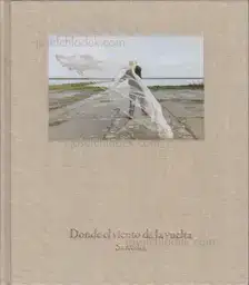 Pedro J. Saavedra - Donde el viento da la vuelta