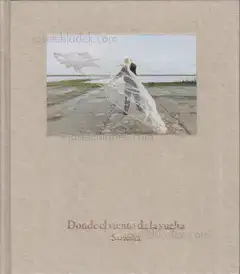 Cover of Pedro J. Saavedra - Donde el viento da la vuelta