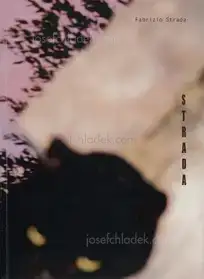 Fabrizio Strada - Strada