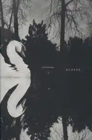 Yusuf Sevinçli - Oculus