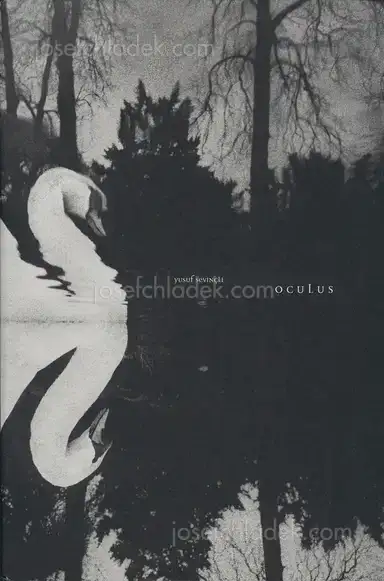 Yusuf Sevinçli - Oculus Yusuf Sevinçli - Oculus