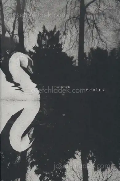Cover of Yusuf Sevinçli - Oculus