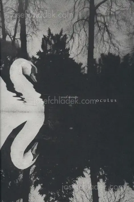 Cover of Yusuf Sevinçli - Oculus