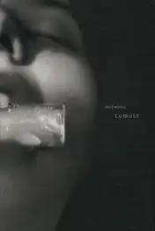 Yusuf Sevinçli - Tumult