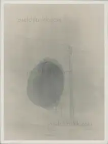 Ola Rindal - Stains & Ashes