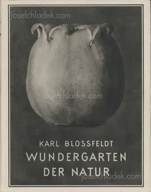 Cover of Karl Blossfeldt - Wundergarten der Natur. Neue Bilddokumente schöner Pflanzenformen