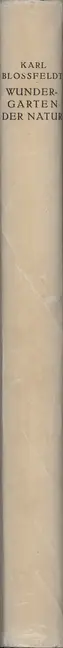Book spine: Karl Blossfeldt - Wundergarten der Natur. Neue Bilddokumente schöner Pflanzenformen