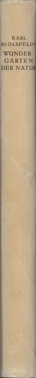 Book spine: Karl Blossfeldt - Wundergarten der Natur. Neue Bilddokumente schöner Pflanzenformen