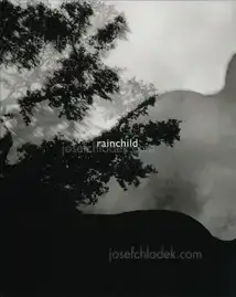Machiel Botman - Rainchild