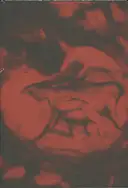 João Linneu - JJ VFF VV