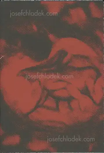 Cover of João Linneu - JJ VFF VV