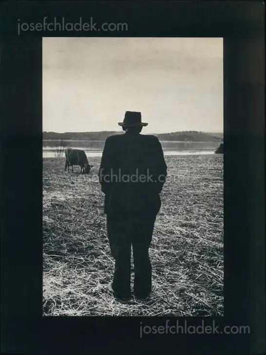 Cover of Robert Frank - The Lines of My Hand