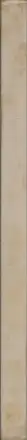 Book spine: Barbara Pflaum - Die Wienerin