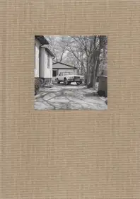 Gerry Johansson - Pontiac