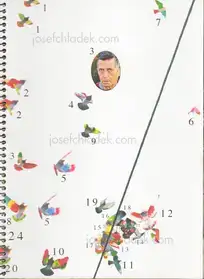 Ricardo Cases - Paloma al Aire
