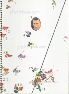 Cover of Ricardo Cases - Paloma al Aire