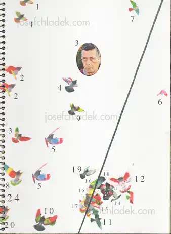 Cover of Ricardo Cases - Paloma al Aire