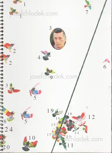 Ricardo Cases - Paloma al Aire Ricardo Cases - Paloma al Aire