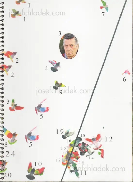 Cover of Ricardo Cases - Paloma al Aire